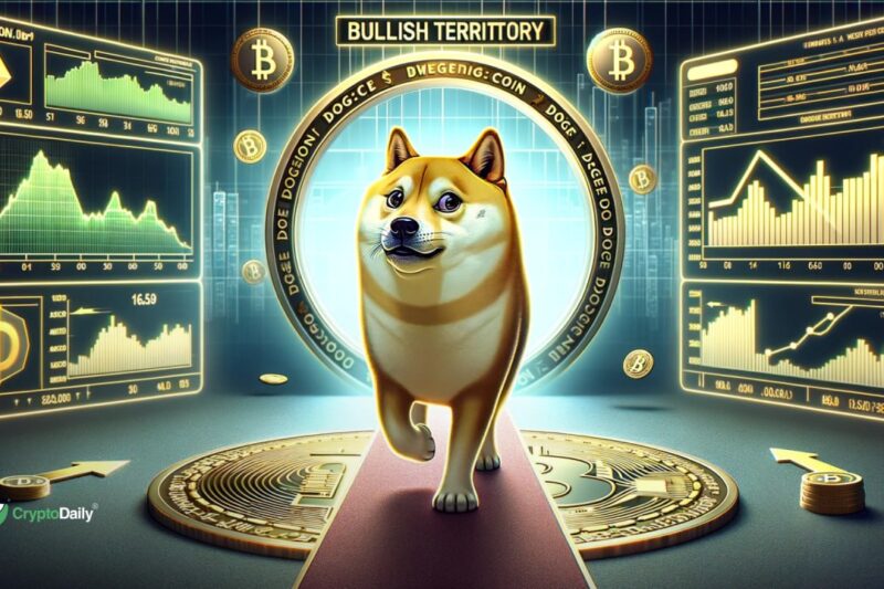 DogeBack