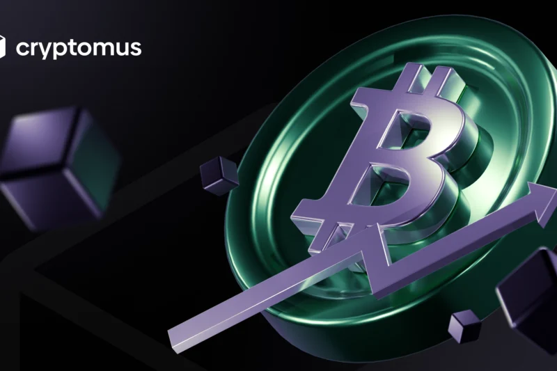 How to Recover Lost BCH