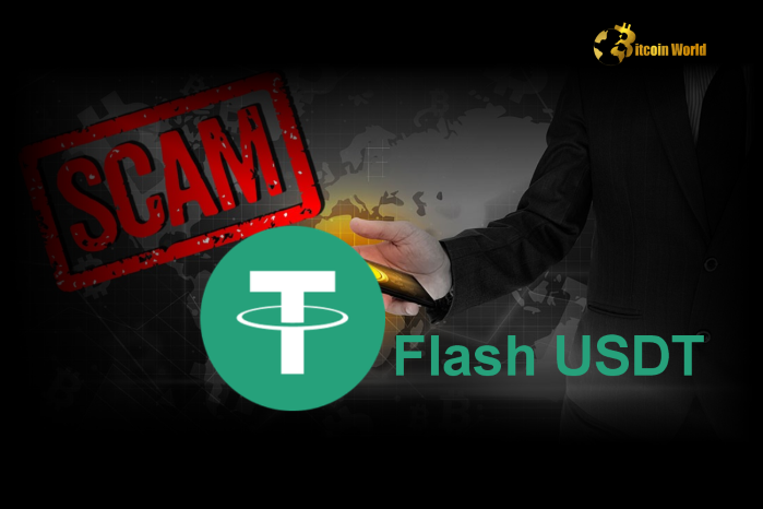 Understanding Flash USDT Scams